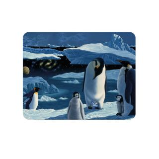 Obrázek z Magnet 3D 7x9cm - tučňáci na ledové kře (25) 